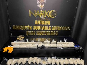 Antalya’da “Kökünü Kurut” Operasyonu