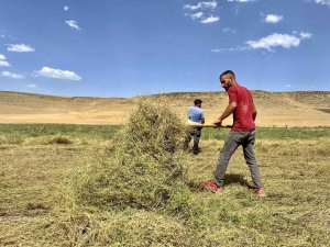 Yağmur Bereketinden Faydalanan Çiftçinin Yüzü Gülüyor