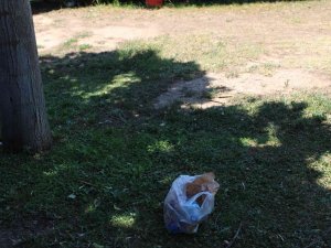 Parkta Serinlediler, Çöplerini Geride Bıraktılar