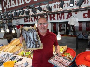 Bandırma Balık Halinde Tezgahlar Canlandı