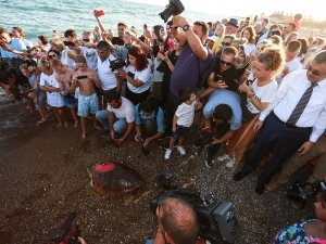Yaralı Kaplumbağaya Kıbrıs Harekatı Anısına ‘Lara Barış’ İsmi Verildi