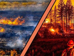 Gümüş: "Alacağımız Küçük Tedbirlerle Vatanımız Hep Yeşil Kalabilir"