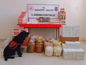 Gaziantep’te Uyuşturucu Ve Kaçakçılık Operasyonu: 76 Gözaltı