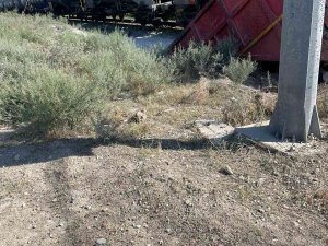 Tren Kazasında 1 Kişi Öldü, 1 Kişi Yaralandı