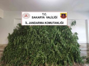 Sakarya’da Uyuşturucu Operasyonu: Baba Ve Oğlu Gözaltına Alındı