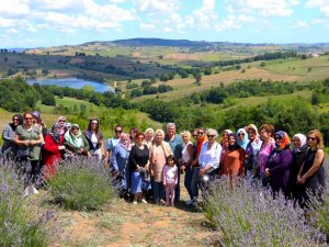 Tıbbi Ve Aromatik Bitki Yetiştiriciliği Projesini Yerinde İncelediler
