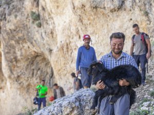 Mersin’de 15 Metrelik Obruğa Düşen Keçiyi İtfaiye Kurtardı