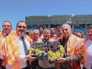 Büyükşehirin Örnek Projesi Tarla Günü İle Kutlandı