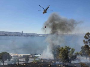 İ̇zmir’de Otluk Alanda Yangın