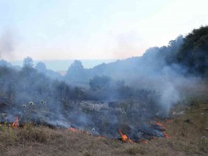 Samsun’da Örtü Yangını: 3 Dönüm Alan Zarar Gördü