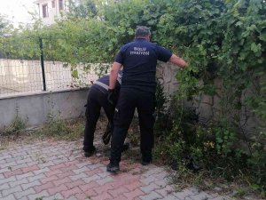Çocukların Bahçede Oynarken Karşılaştığı Yılan Doğaya Salındı