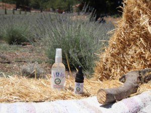 Bodrum Belediyesi, Kendi Yağını Üretiyor