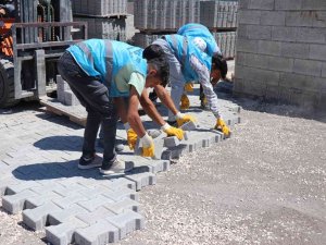 Aksoy Çalışmaları Sahada İnceledi