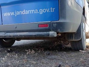 Orman Yangınında Yürek Burkan Görüntüler