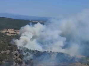 Çanakkale’deki Orman Yangını Kontrol Altında