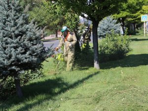 Yabani Ot Ve Biçme Çalışmaları Sürüyor