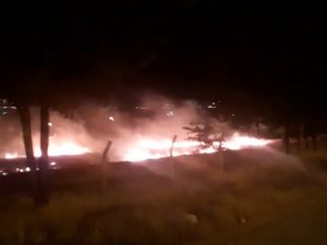 Otluk Alanda Yangın Paniği