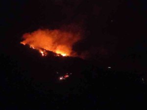 Adana’da Orman Yangını