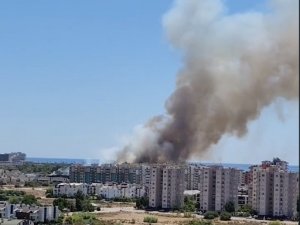 Antalya’da Orman Yangını