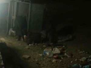 Aydın’da Domuzlar Tatil Sitesini Bastı