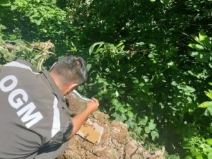 Sadece Yangınlarla Değil Tüm Zararlılarla Mücadele Ediyorlar