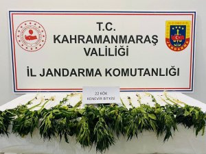Kahramanmaraş’ta Uyuşturucu Operasyonu