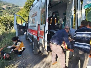 Sakarya’da Otomobil Fındık Bahçesine Uçtu: 2 Yaralı