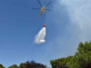 Antalya’da Çamlık Alandaki Yangın Kontrol Altına Alındı