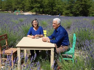 Lavanta Bahçesi 1 Ağustos’a Kadar Ziyaretçilerini Ağırlayacak