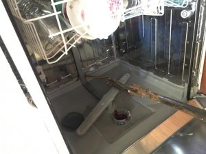 Bulaşık Makinasındaki Yılan Ev Sahibini Korkuttu