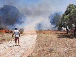 Temizlik Ateşi Kontrolden Çıktı