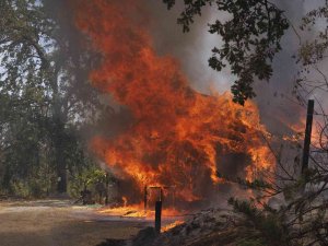 California’da Orman Yangını Nedeniyle Acil Durum İlan Edildi