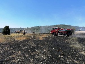 Emet’te 45 Dönüm Hububat Ekili Alan Yandı