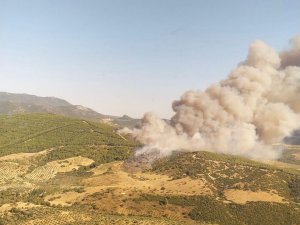 Manisa’da Otluk Alanda Çıkan Yangın Ormana Sıçradı