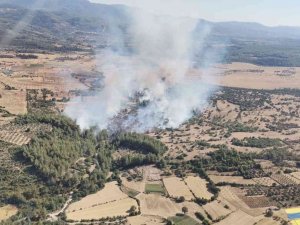 Milas’ta Yangına Havadan Ve Karadan Müdahale Devam Ediyor