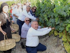 Mersin’de ’Üzüm Şenliği’ Coşkusu