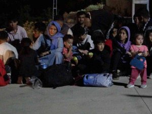 Muğla’da Çok Sayıda Düzensiz Göçmen Yakalandı