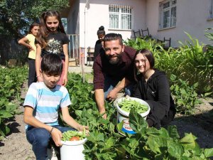 Yunus Emre Öğretmen, Okulda Öğrencileriyle Yetiştirdiği Sebzelerini Sütle Besliyor