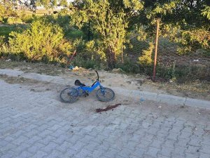 Patpat Bisikletli Çocuğu Çarptı