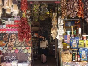 Aktarlarda Yaz Hareketliliği