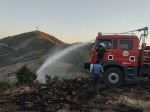 Bingöl’de 3 Köyde Çıkan Orman Yangınları Söndürüldü