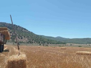 Eskişehir’de Saman Balyası Mesaisi Başladı