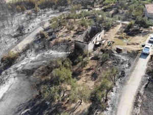 Orman Yangını Dehşetini Gözyaşlarıyla Anlattılar