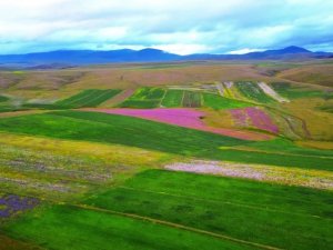 Ardahan’da Doğa Rengarenk