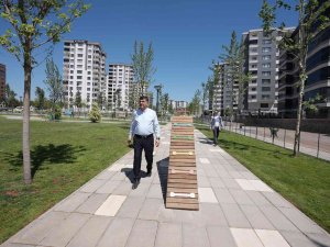 Pet Park 2, Halkın Hizmetine Sunuldu