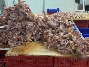 Ağızlarında Sigara, Üstleri Çıplak Tavuk Kestiler, Bir De Oynadılar