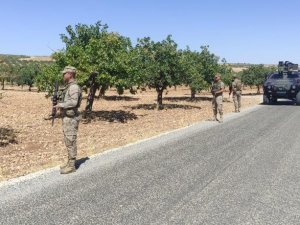 Jandarmadan ’Antepfıstığı’ Nöbeti