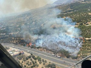 İ̇zmir’de Makilik Alandaki Yangına Havadan Ve Karadan Müdahale
