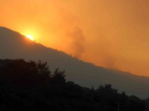Meteoroloji’den Muğla’ya Orman Yangını Uyarısı