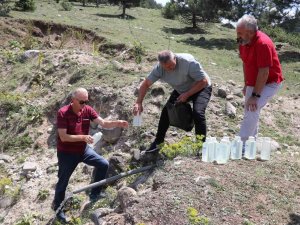 Bolu’da İçme Suyu Zehirlenmelerinde Sayı 141’a Ulaştı